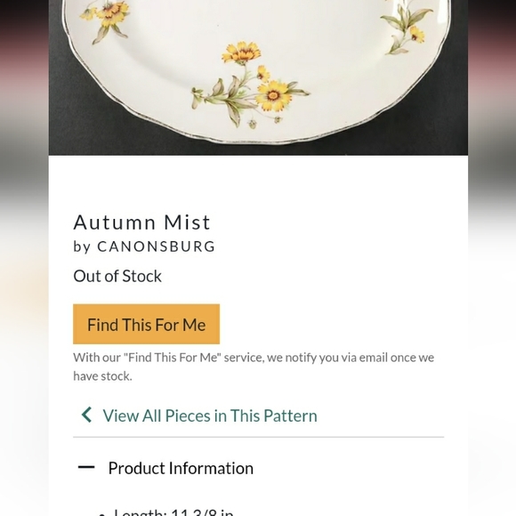 ⚜️ Vintage Autumn Mist Dinnerware RARE CANONSBURG PRISTINE - Picture 8 of 16